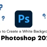 How to Create a White Background in Photoshop 2023